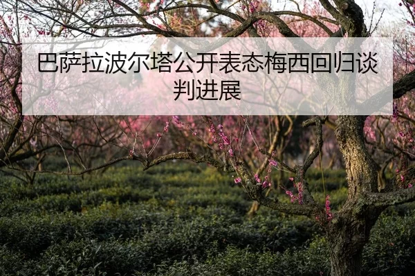 巴萨拉波尔塔公开表态梅西回归谈判进展